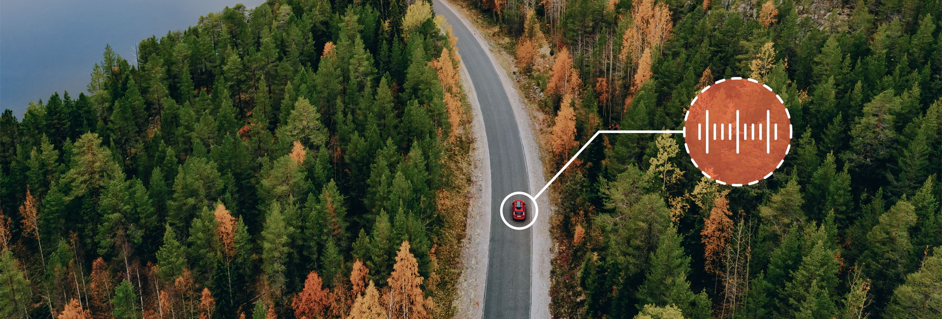 Forêt avec une route entre les deux et une voiture rouge avec un sigle de vocal