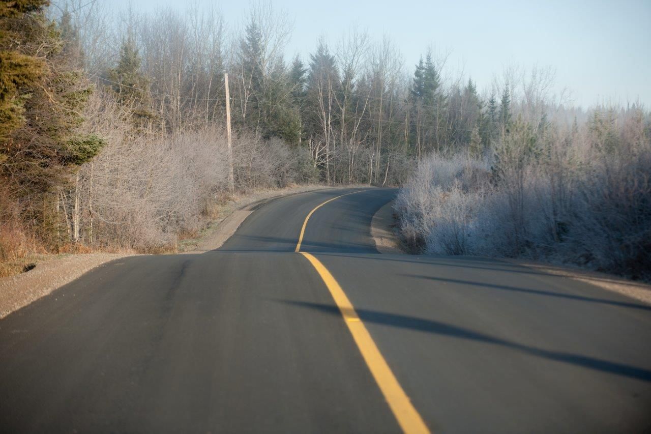 Route avec une forêt colorée