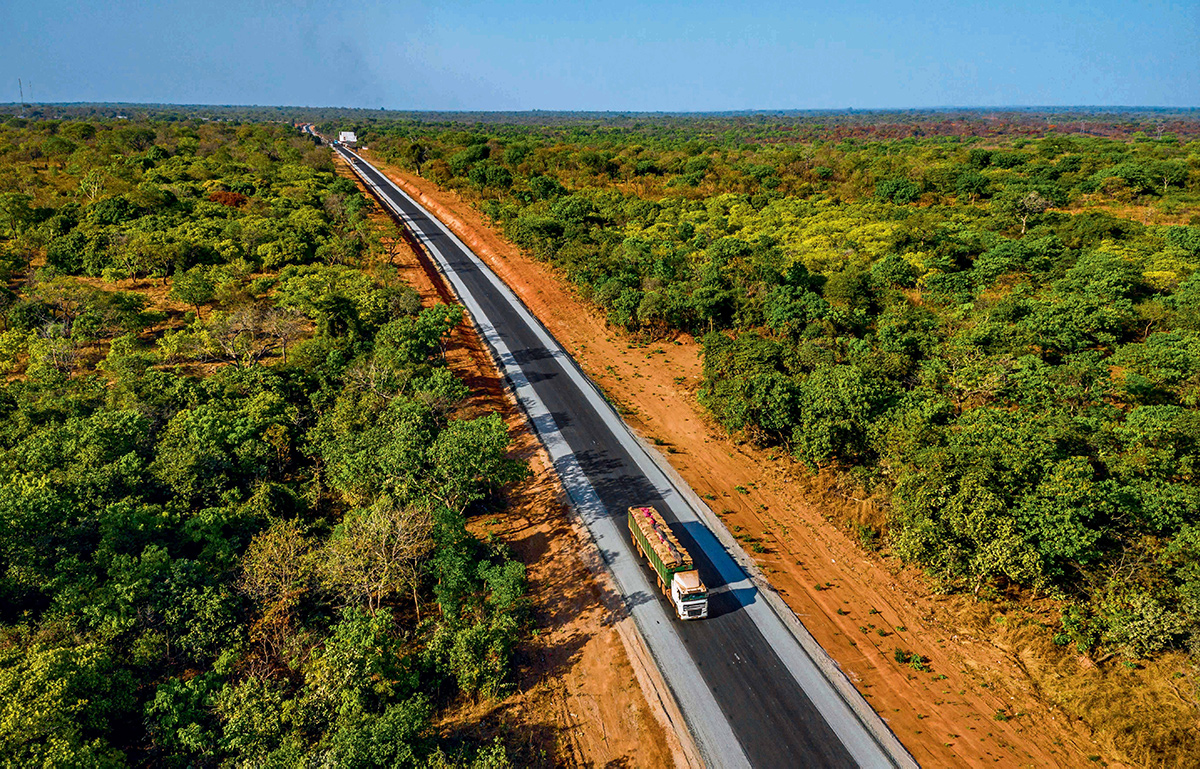 Route droite traversant une forêt verdoyante