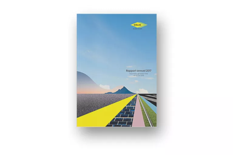 Rapport annuel 2017