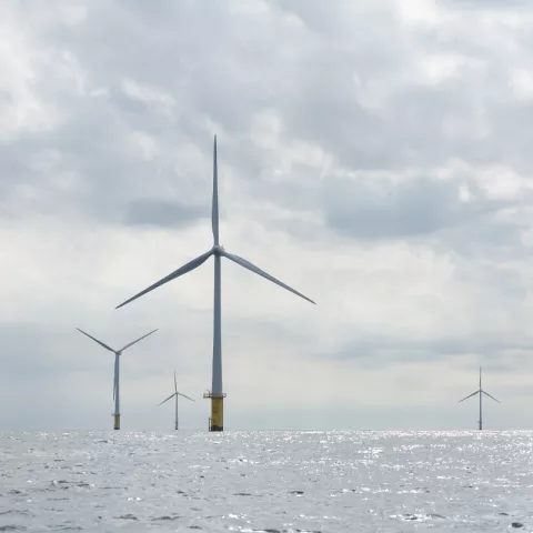 Illustration of Un parc éolien offshore en Normandie