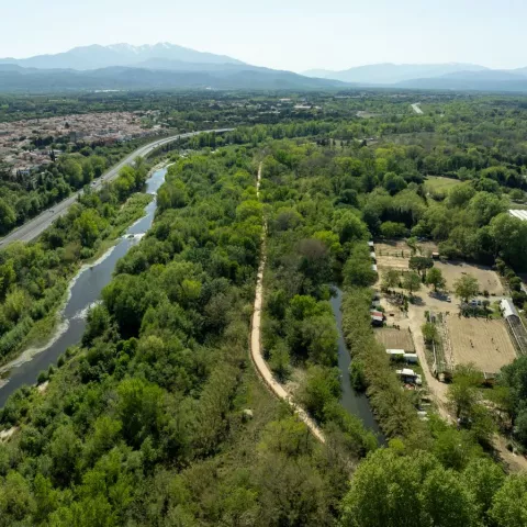 Illustration of Megatrends : Colas voit très loin