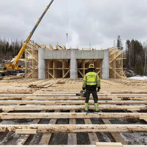 Illustration of A la rencontre de Destia